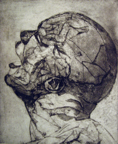 head-ii-colloagraptorhildyard